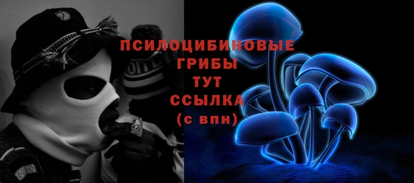 марки lsd Инсар