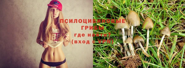 скорость mdpv Инта