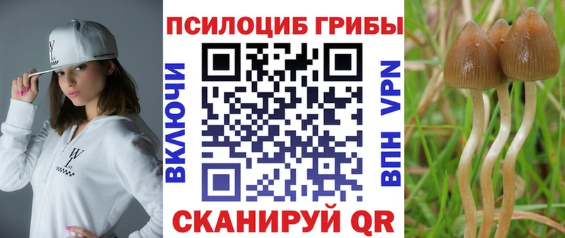 Купить где  Гусиноозёрск  Псилоцибиновые грибы Magic Shrooms 
